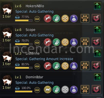 Black Desert Auto gather Hedgehog pets