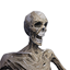 Skeleton