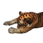 Tiger Carcass