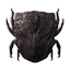 Carapace Shield