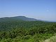 Photo Blueridge Mountains Virginia Smokey Smokies 27.jpg