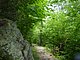 Photo Blueridge Mountains Virginia Smokey Smokies 68.jpg