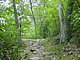 Photo Blueridge Mountains Virginia Smokey Smokies 69.jpg